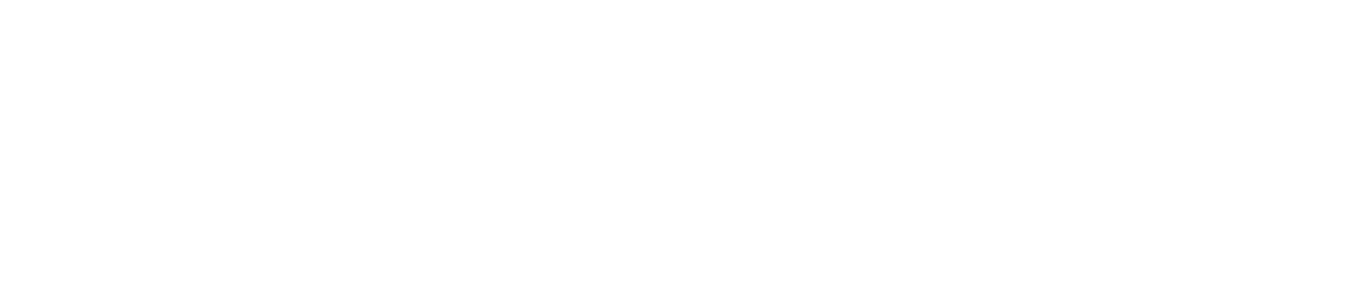 champion-logo-beyaz